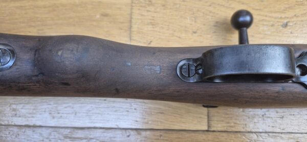Magnifique fusil G98 - Gewehr 1898 - Arsenal Spandau en 1900 - Calibre d'origine 8x57 IS - Intégralement Mono matricule sauf la baguette conforme - Bretelle cuir marron d'origine -  Attribution prestigieuse au 1er Grenadier Kronprinz "1. R. 4. 150."- TBE+ – Image 12
