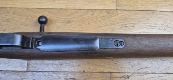 Magnifique fusil G98 - Gewehr 1898 - Arsenal Spandau en 1900 - Calibre d'origine 8x57 IS - Intégralement Mono matricule sauf la baguette conforme - Bretelle cuir marron d'origine -  Attribution prestigieuse au 1er Grenadier Kronprinz "1. R. 4. 150."- TBE+ – Image 13