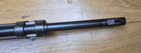 Magnifique fusil G98 - Gewehr 1898 - Arsenal Spandau en 1900 - Calibre d'origine 8x57 IS - Intégralement Mono matricule sauf la baguette conforme - Bretelle cuir marron d'origine -  Attribution prestigieuse au 1er Grenadier Kronprinz "1. R. 4. 150."- TBE+ – Image 24